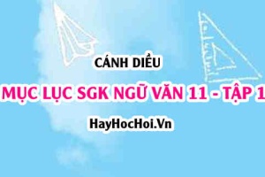 Mục lục Ngữ Văn 11 Cánh Diều Tập 1 SGK